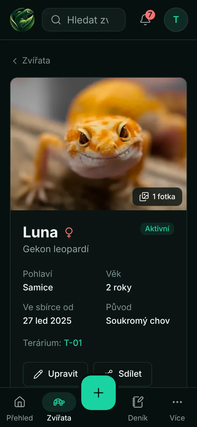 Profil gekona leopardího na telefonu