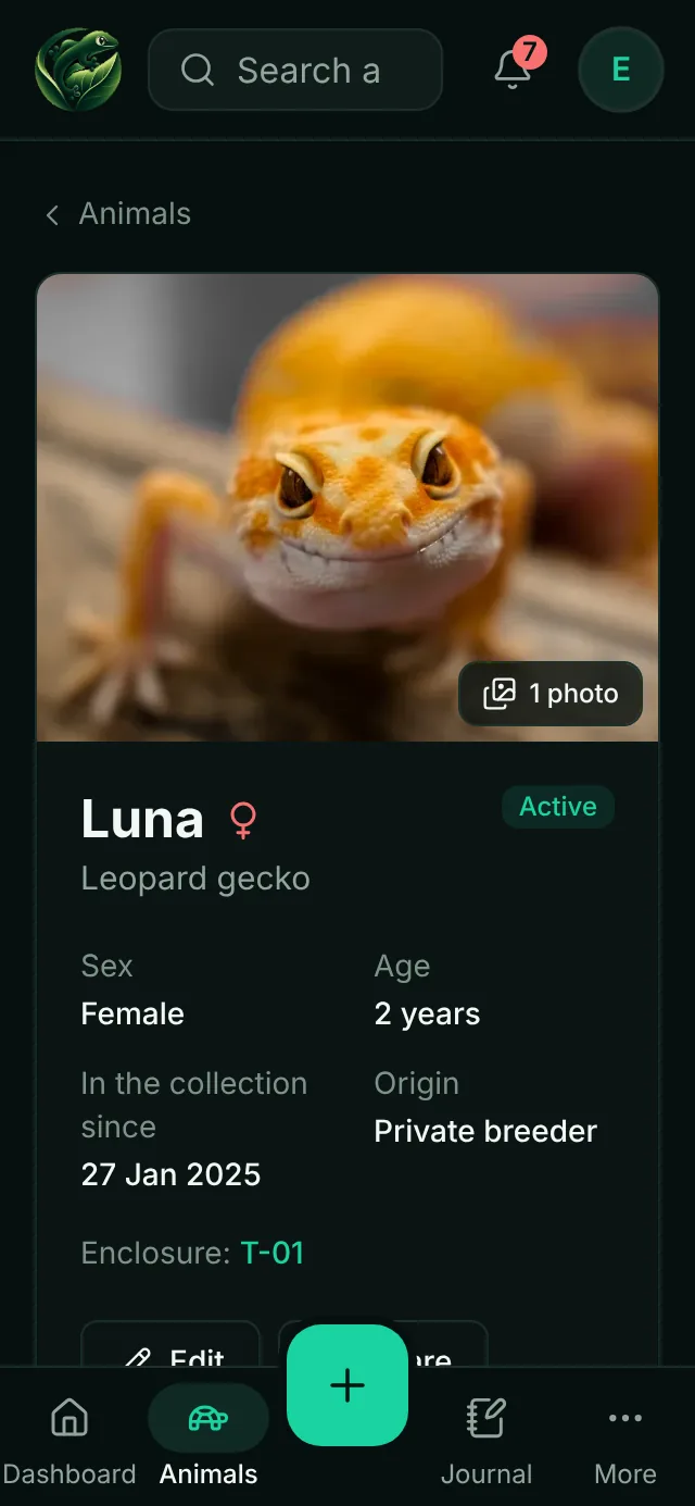 A leopard gecko profile on a phone