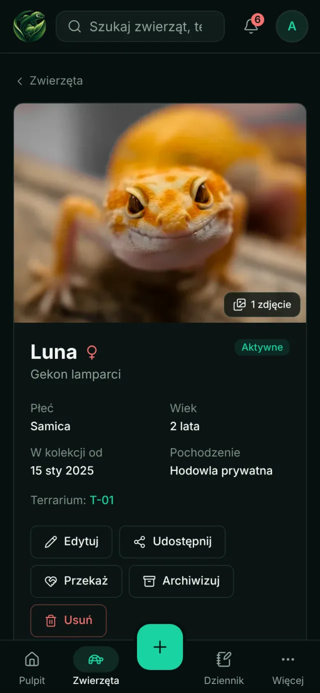 Profil gekona lamparciego na telefonie
